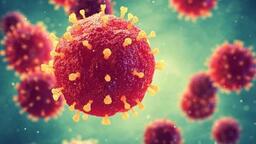 THÔNG TIN VỀ DỊCH BỆNH DO VI RÚT NIPAH VÀ KHUYẾN CÁO PHÒNG CHỐNG TẠI VIỆT NAM