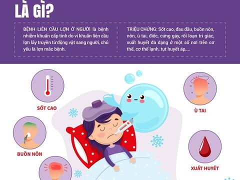 CHỦ ĐỘNG PHÒNG CHỐNG BỆNH LIÊN CẦU LỢN