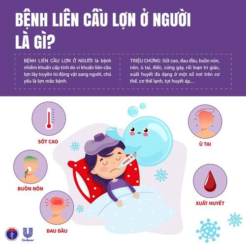 CHỦ ĐỘNG PHÒNG CHỐNG BỆNH LIÊN CẦU LỢN