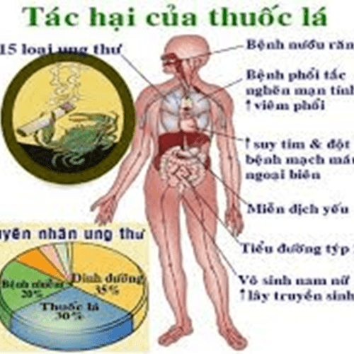 HƯỞNG ỨNG NGÀY THẾ GIỚI KHÔNG HÚT THUỐC LÁ 31/5 VÀ TUẦN LỄ QUỐC GIA KHÔNG HÚT THUỐC LÁ 25-31/5/2025