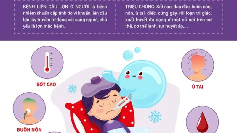 CHỦ ĐỘNG PHÒNG CHỐNG BỆNH LIÊN CẦU LỢN