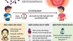 Những điều cần viết về Bệnh Bạch Hầu