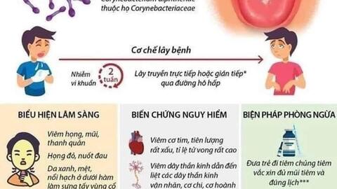 Những điều cần viết về Bệnh Bạch Hầu